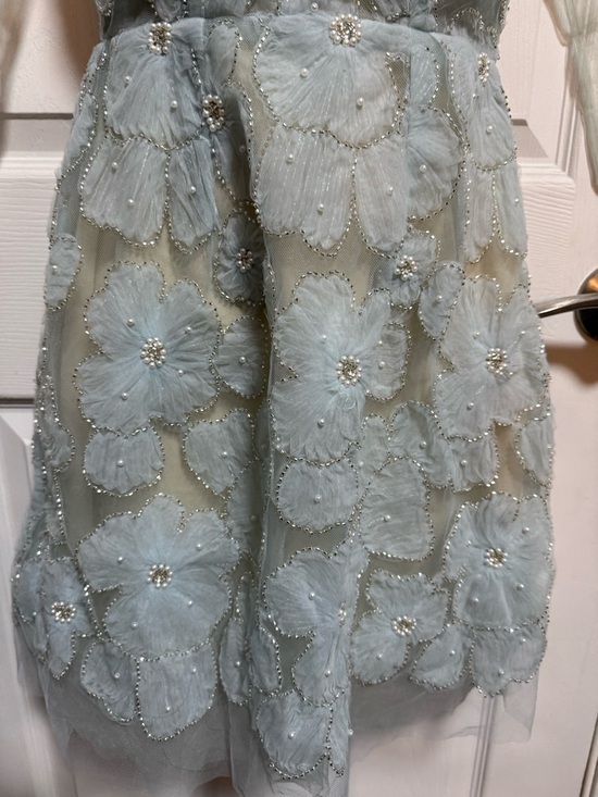 XY Bymyxy Pale Blue Floral Appliqué Tulle Dress with faux Pearls - Picture 3 of 9